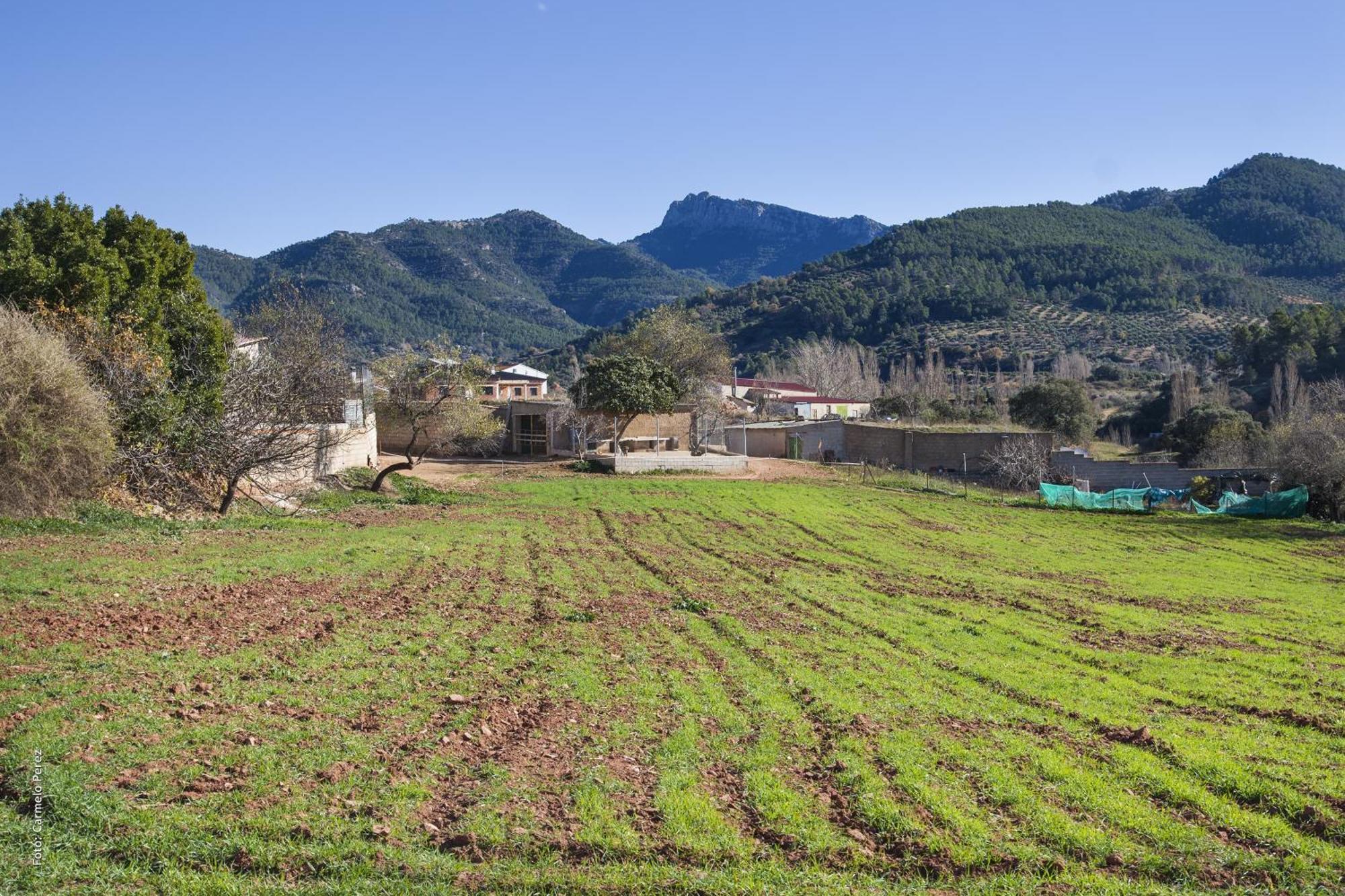 Casa Rural Chache Casto Bienservida ภายนอก รูปภาพ